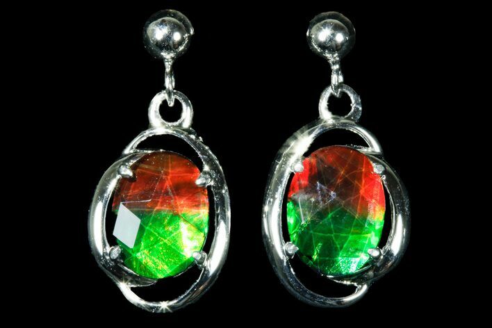 Gorgeous Ammolite Earrings with Sterling Silver #181176